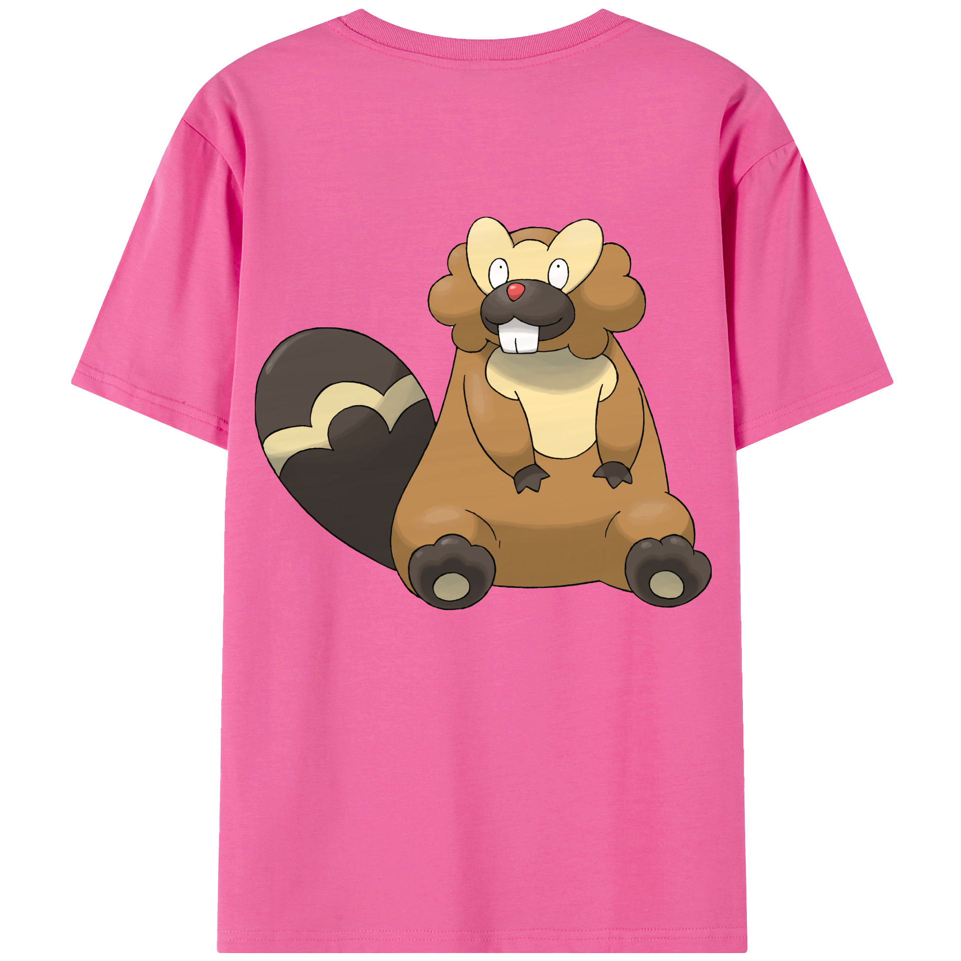 （画像用） ポケットモンスター Pokémon レディース半袖Tシャツ(バックプリント)